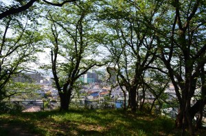 四方に景色が広がっていて、枚方だけでなく、淀川を挟んで摂津の山の連なりも見えています。